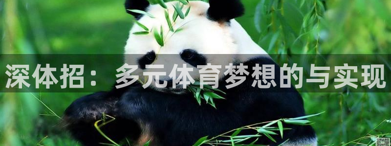 深体招：多元体育梦想的与实现