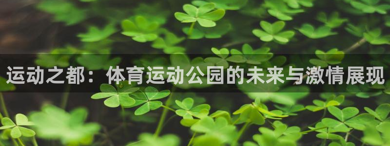 运动之都：体育运动公园的未来与激情展现