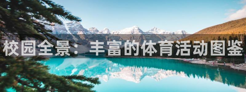校园全景：丰富的体育活动图鉴