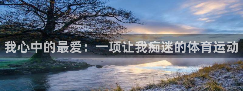 我心中的最爱：一项让我痴迷的体育运动