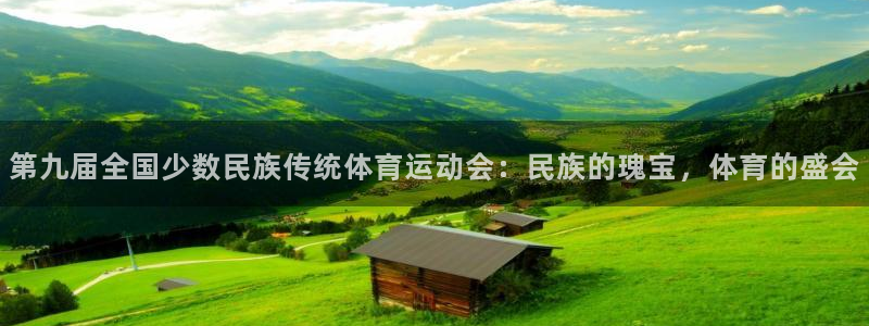 第九届全国少数民族传统体育运动会：民族的瑰宝，体育的盛会