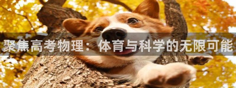 聚焦高考物理：体育与科学的无限可能