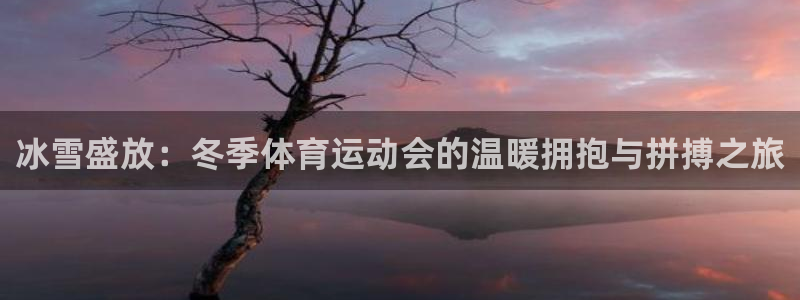 冰雪盛放：冬季体育运动会的温暖拥抱与拼搏之旅