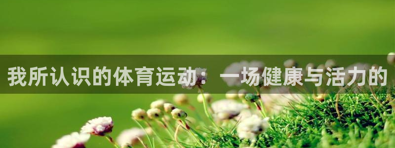 我所认识的体育运动：一场健康与活力的