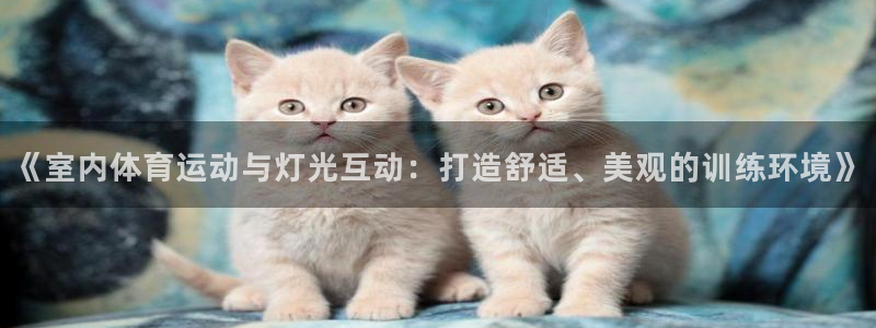 《室内体育运动与灯光互动：打造舒适、美观的训练环境》