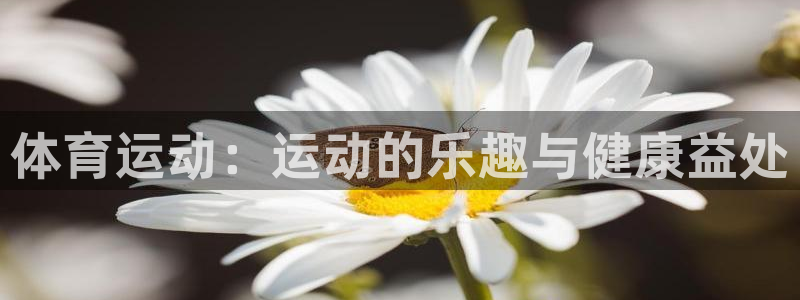 体育运动：运动的乐趣与健康益处