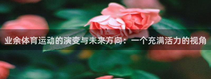 业余体育运动的演变与未来方向：一个充满活力的视角