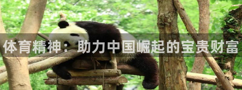 体育精神：助力中国崛起的宝贵财富