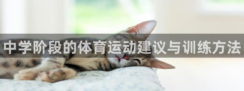 中学阶段的体育运动建议与训练方法