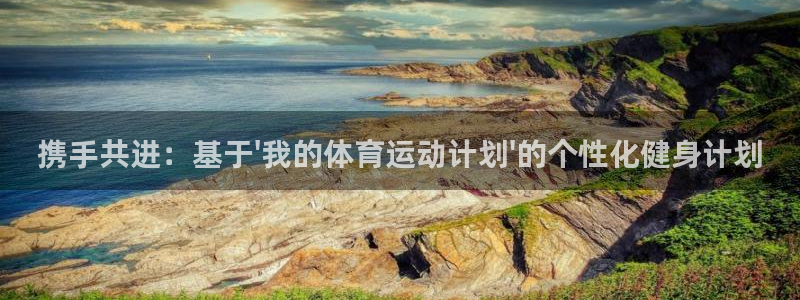 携手共进：基于\'我的体育运动计划\'的个性化健身计划