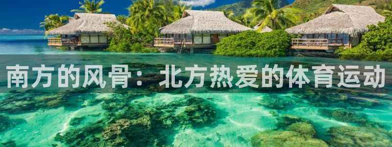 南方的风骨：北方热爱的体育运动