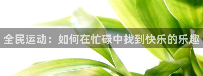 全民运动：如何在忙碌中找到快乐的乐趣