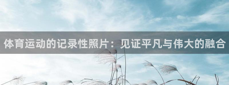体育运动的记录性照片：见证平凡与伟大的融合