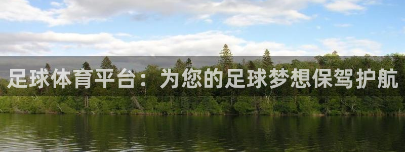 足球体育平台：为您的足球梦想保驾护航